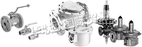 DUNGS是安全清潔氣體燃燒的同義詞，倡導(dǎo)與客戶緊密合作，