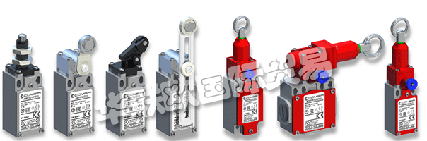 COMEPI擁有代理商和進口商網絡，由當?shù)亟涗N商提供支持。