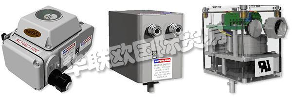 因此被視為AUTOFLAME公司和質(zhì)量管理體系的主要目標。