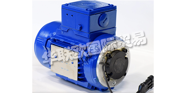 BRONZONI始于1976年，來自紳士Luigi和Renato Bronzoni的發(fā)動機(jī)草圖的一個(gè)想法被追溯到：解決客戶的普通或非常問題。從滿足他們不同需求的想法出發(fā)，Bronzoni Motori Elettrici誕生了，它仍以草圖為指導(dǎo)，生產(chǎn)標(biāo)準(zhǔn)和定制的單相和三相異步電動機(jī)。