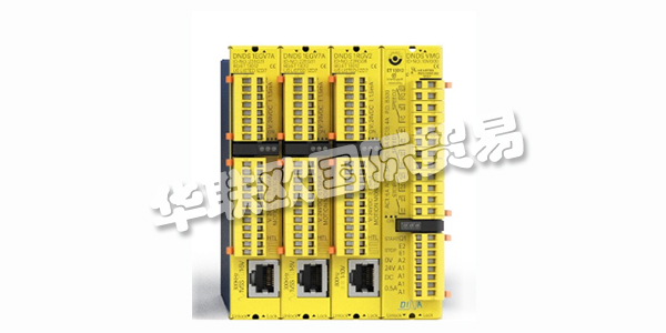 DINA，從友好的鄰里地下室創(chuàng)業(yè)到創(chuàng)新領(lǐng)導(dǎo)者。