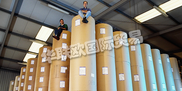 APV德國(guó)是歐洲卷材紙和柔性材料加工領(lǐng)域的領(lǐng)先公司之一。在客戶不斷變化的需求的推動(dòng)下，他們不斷努力改進(jìn)和完善他們的加工技術(shù)。這得到了密集投資計(jì)劃的支持。因此，他們實(shí)現(xiàn)了先前的機(jī)器擴(kuò)展和存儲(chǔ)容量的擴(kuò)展。2011年，Bramsche工廠新建了一個(gè)生產(chǎn)車間，為高科技，醫(yī)療技術(shù)和食品行業(yè)的客戶提供清潔和衛(wèi)生的特殊條件。