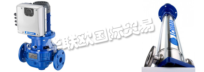 意大利LOWARA是一家專門生產(chǎn)不銹鋼泵的公司，他們提供的產(chǎn)品有：意大利LOWARA泵,、LOWARA水泵、循環(huán)器、端吸泵、多級泵、直列式泵、濕轉(zhuǎn)子循環(huán)器、變速泵、冷凝泵、自吸泵、潛水鉆孔泵、潛水污水和污水泵、潛水式脫水泵、外圍泵、泵控制器、驅(qū)動器、變頻器、控制器、壓力開關(guān)控制器。