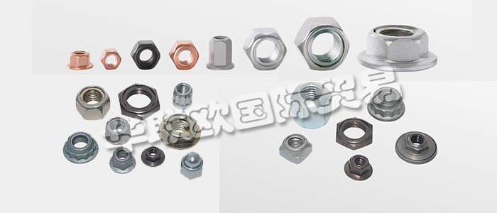 FLAIG+HOMMEL是世界知名的不銹鋼安全螺母制造商，幾十年來一直是國際汽車和鐵路行業(yè)的可靠合作伙伴。下文為您具體介紹FLAIG+HOMMEL安全螺母。