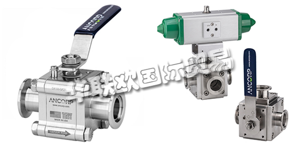 美國ANCORP公司主要供應(yīng)：美國ANCORP閥門,ANCORP過濾器，真空閥，疏水閥，真空球閥，二通球閥，三通球閥，高電導(dǎo)球閥，顆粒分離器，螺栓，螺母，固定環(huán)，夾具等產(chǎn)品。