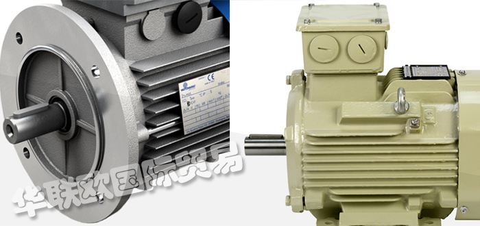 MOTOVARIO是什么牌子,意大利MOTOVARIO電機說明書