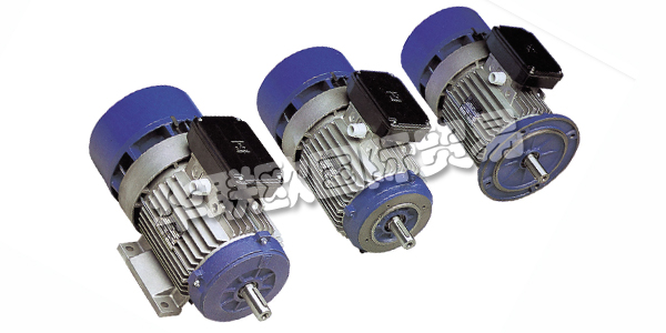 MGM是什么意思,MGM電機(jī),MGM剎車電機(jī),意大利MGM,意大利剎車電機(jī),MGM型號,MGM剎車電機(jī)型號