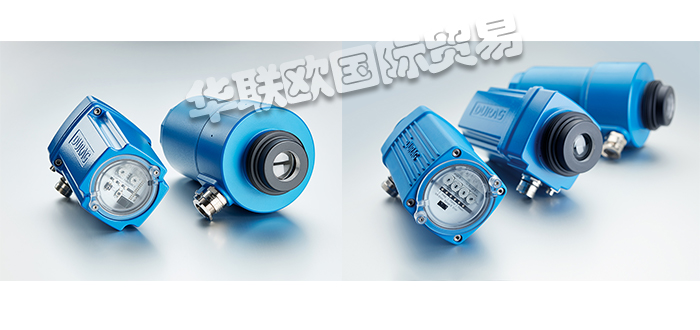 DURAG檢測(cè)器,DURAG火焰檢測(cè)器,德國檢測(cè)器,德國火焰檢測(cè)器,D-LX 101 IG-30,德國DURAG