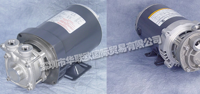 美國MTH PUMPS再生渦輪泵P31系列